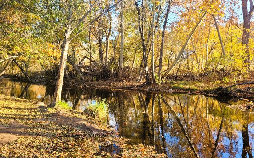 Explore Vibrant Fall Colors in Arizona