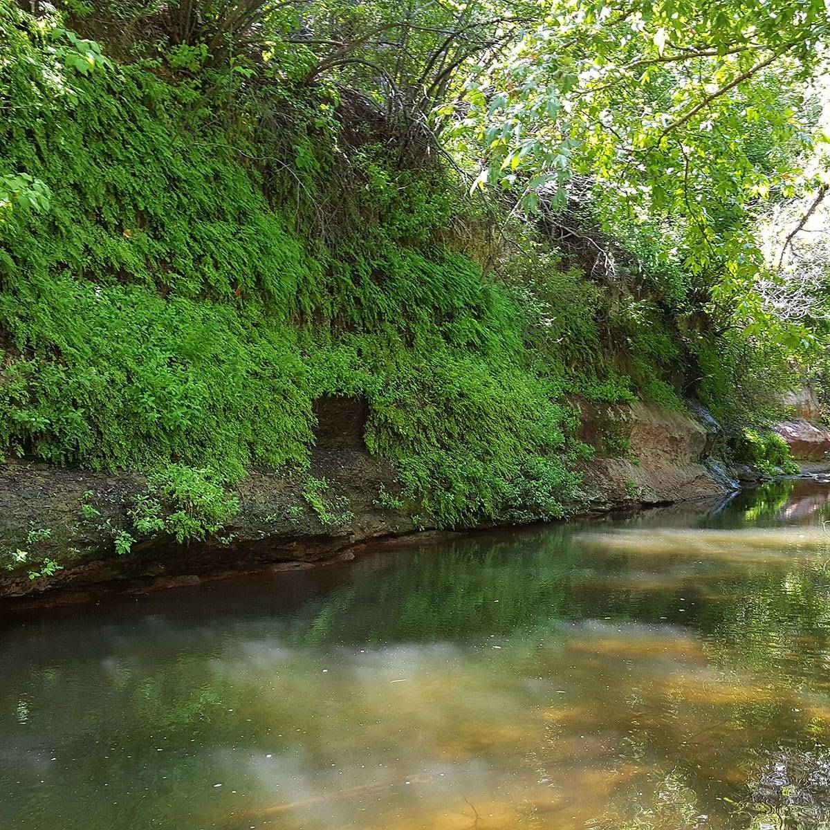 Bull pen Trailhead