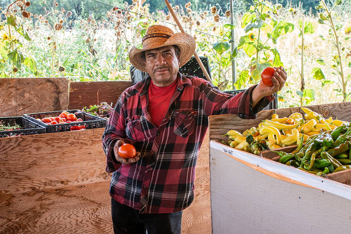 Verde Valley farmers market