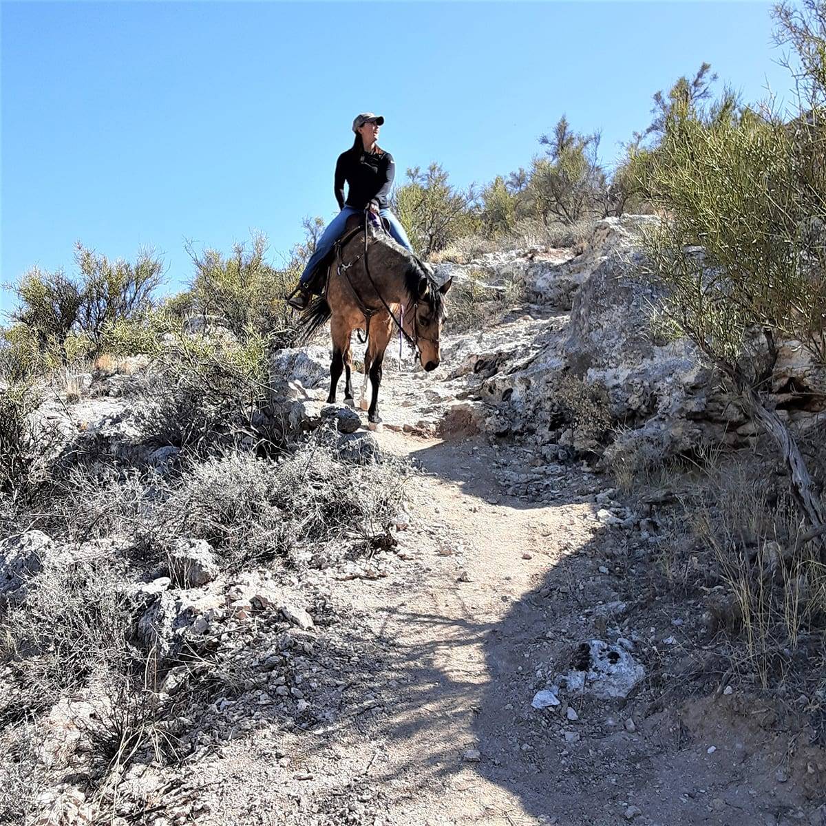 verde vista trail