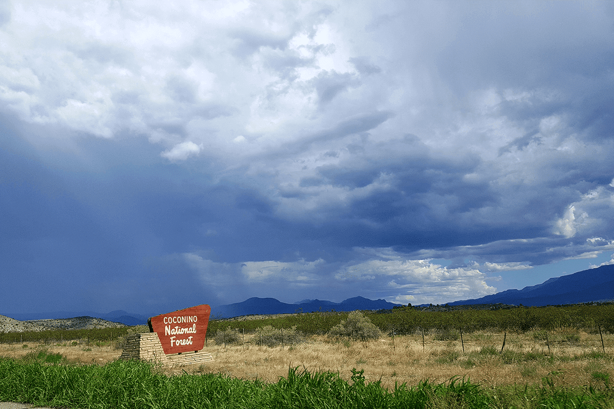 Coconino National Forest